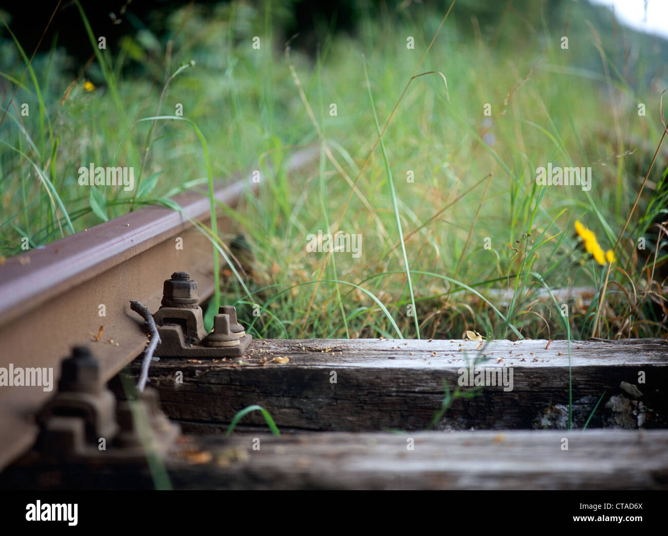 Abandoned railroad overgrown weeds hi-res stock photography and images ...