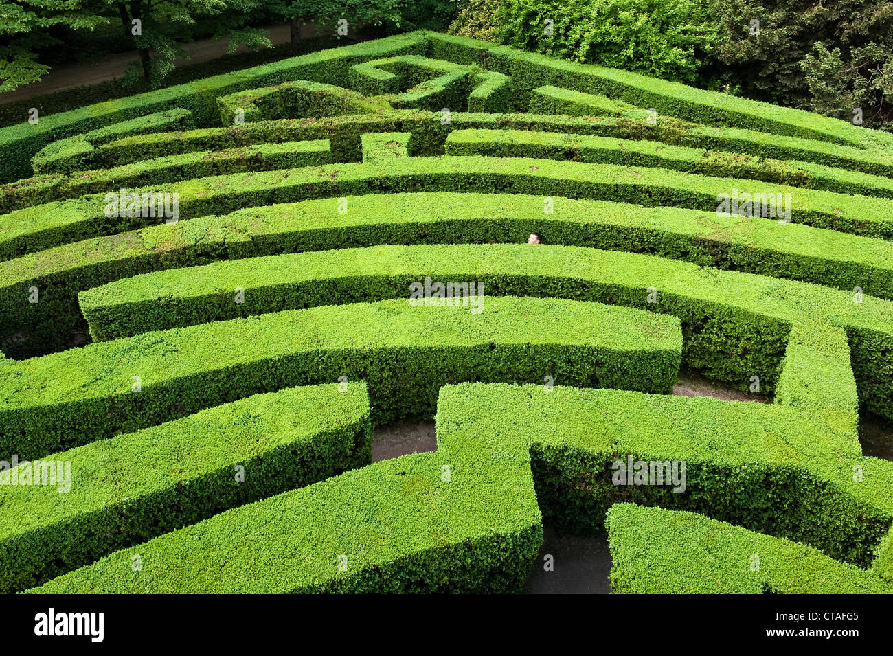 The famous maze at Villa Pisani, Stra, Veneto, Italy, designed by Girolamo Frigimelica in 1720. It is said to be the most complex maze in Europe Stock Photo