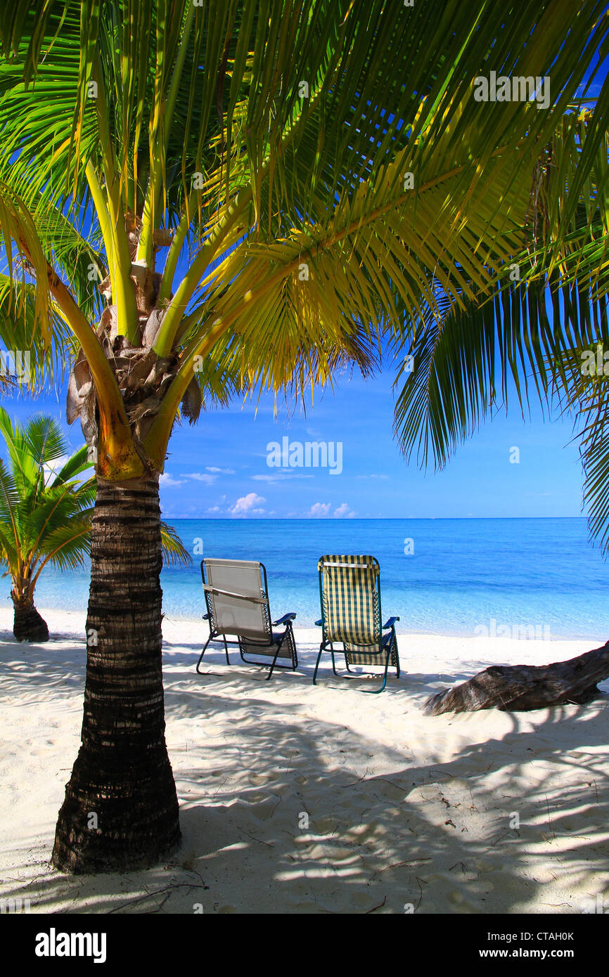 Modessa island, Palawan. A paradisiac beach on a coconut island lost in Philippines Stock Photo