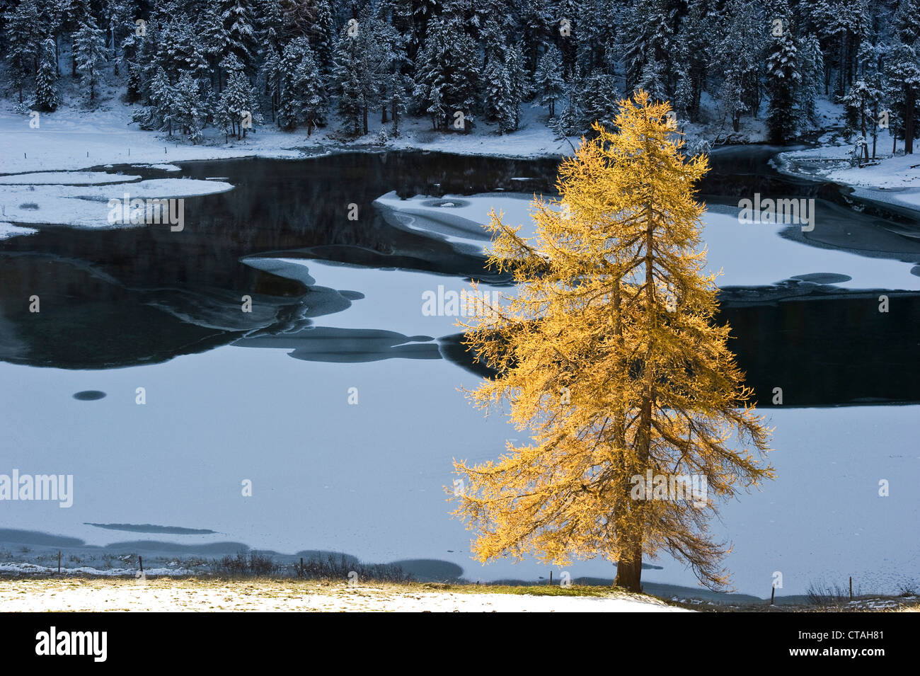 Winter landscape at Lake Palpuoga, Bergun, Grisons, Switzerland Stock Photo