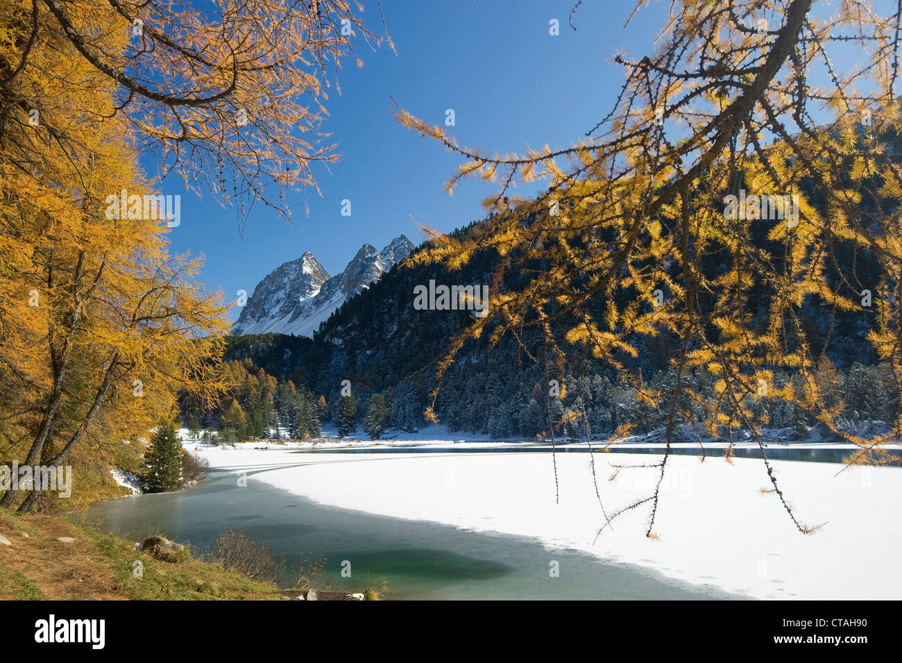 Winter landscape at Lake Palpuoga, Bergun, Grisons, Switzerland Stock Photo