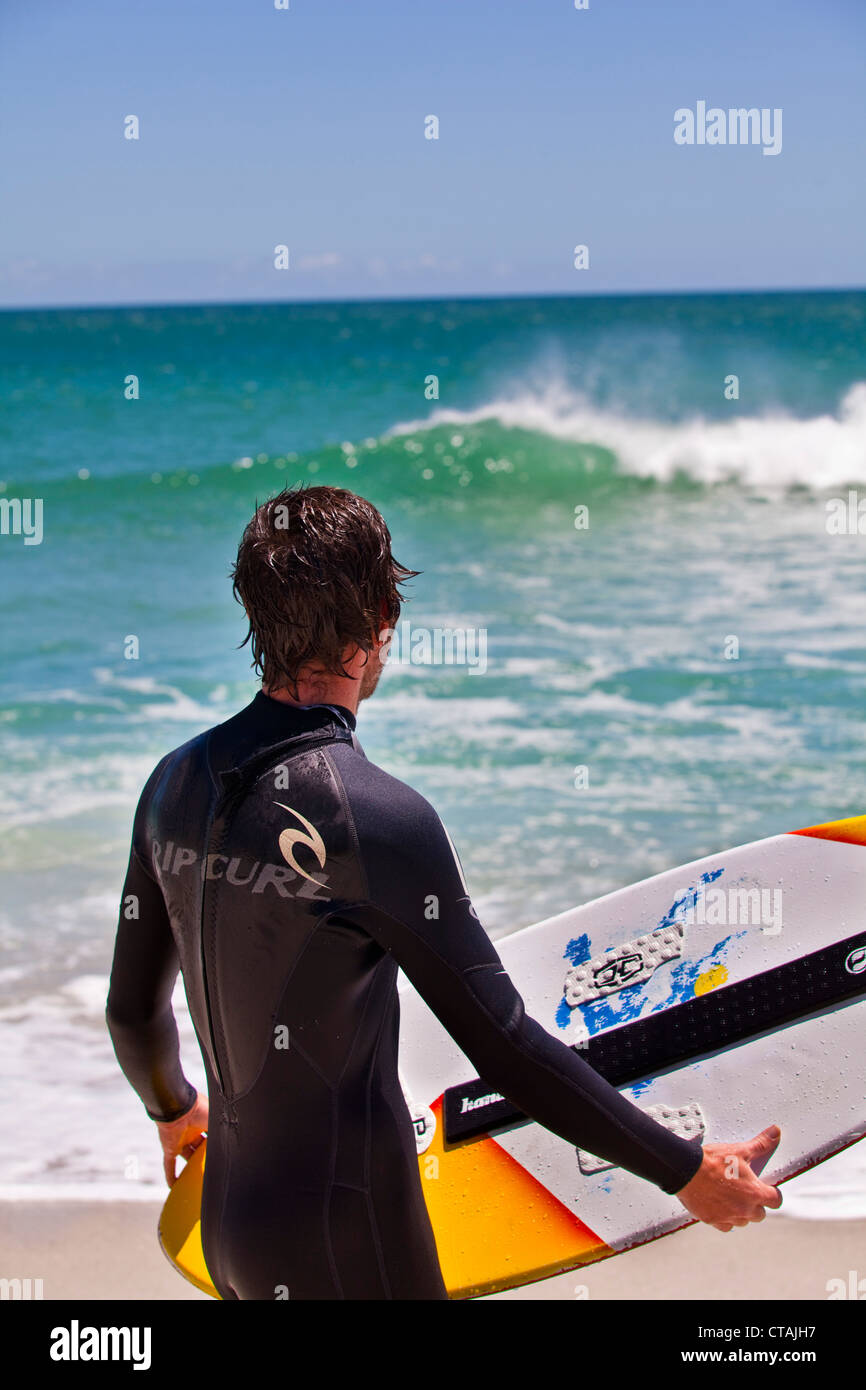 Surfer at the Beach of Camps Bay, Cape Town, Western Cape, South Africa