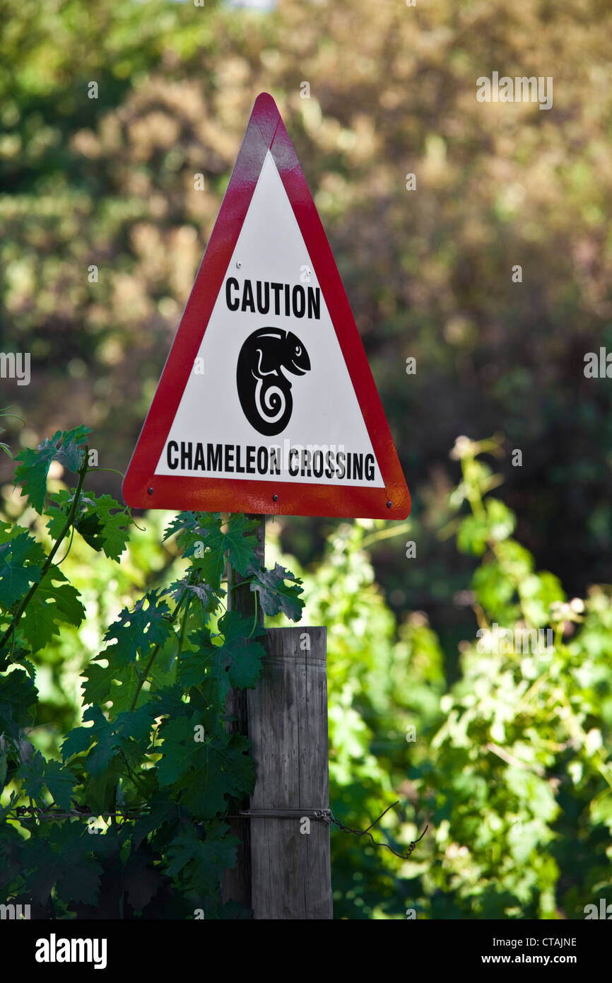 Street-sign at Jordan Winery, Stellenbosch, Western Cape, South Africa Stock Photo