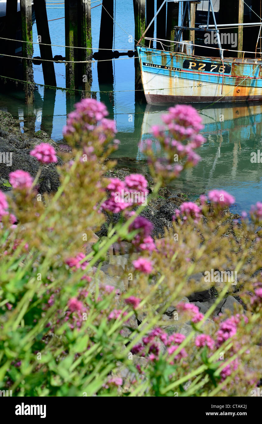 Newlyn harbour Cornwall UK Stock Photo