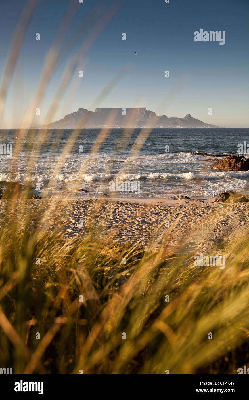 Morning impression at Bloubergstrand with Table Bay, Western Cape, South Africa, RSA, Africa Stock Photo