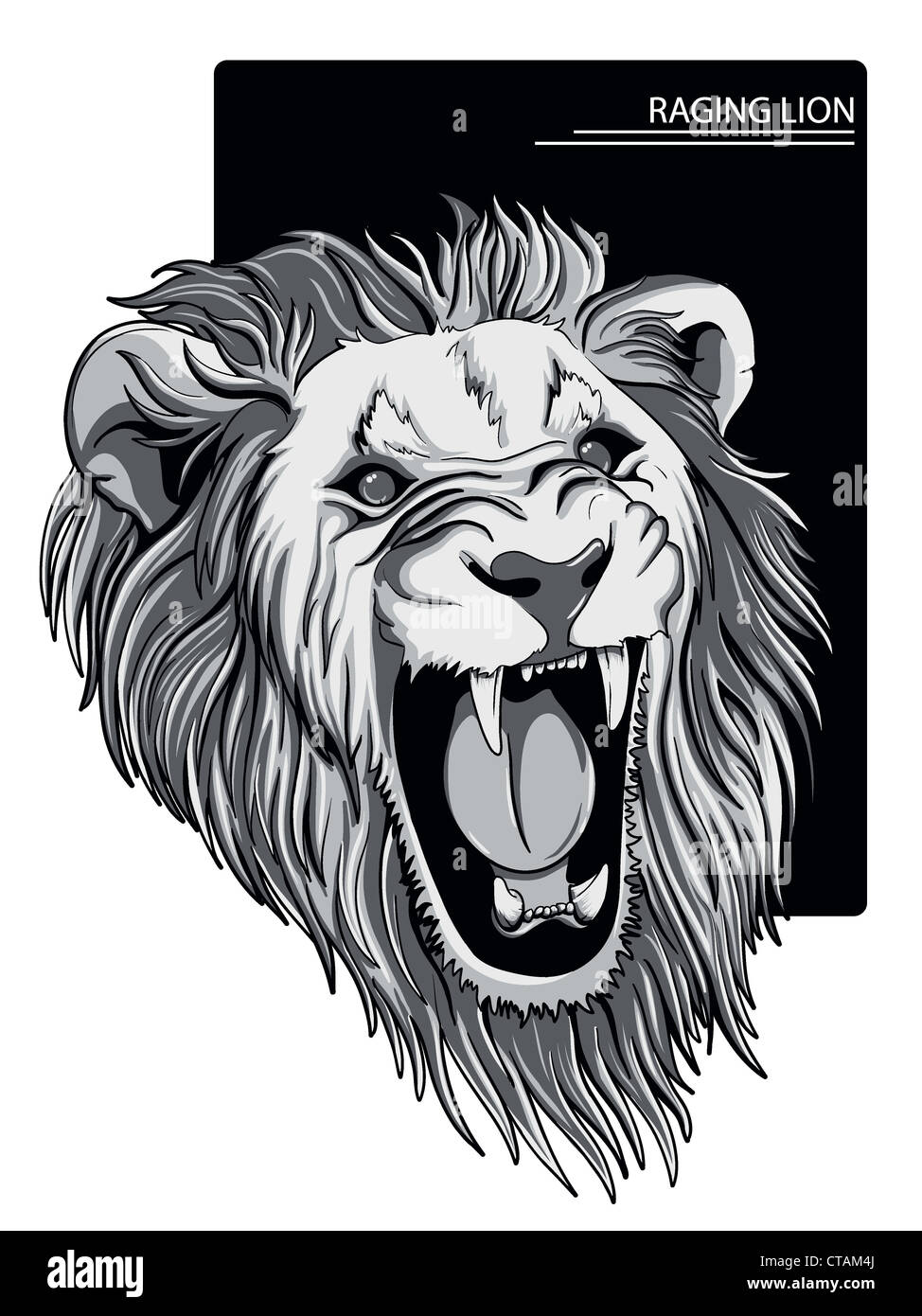 angry lion vector illustration Stock Photo - Alamy