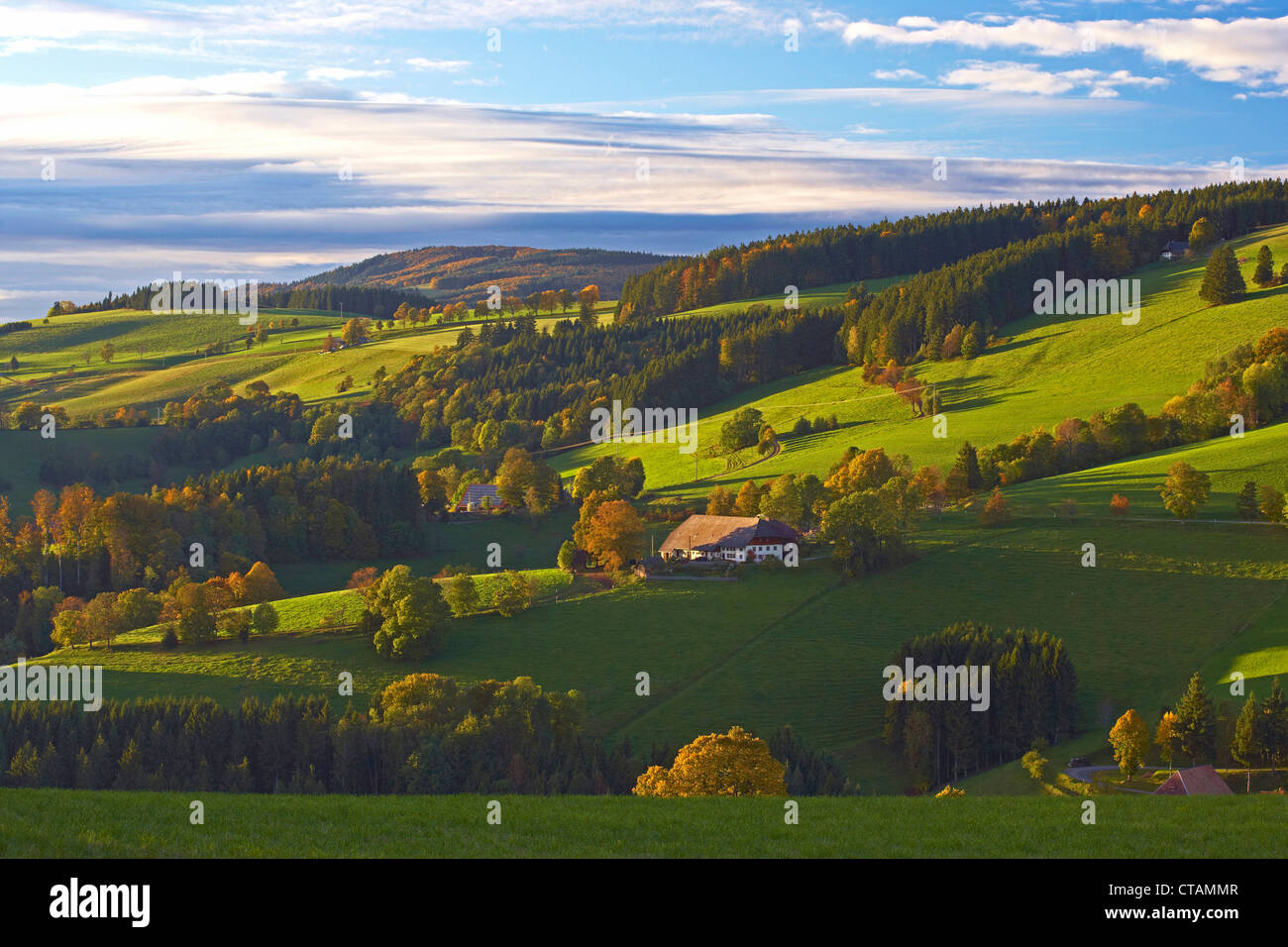 Autumn evening near St Maergen, Southern part of Black Forest, Black Forest, Baden-Wuerttemberg, Germany, Europe Stock Photo
