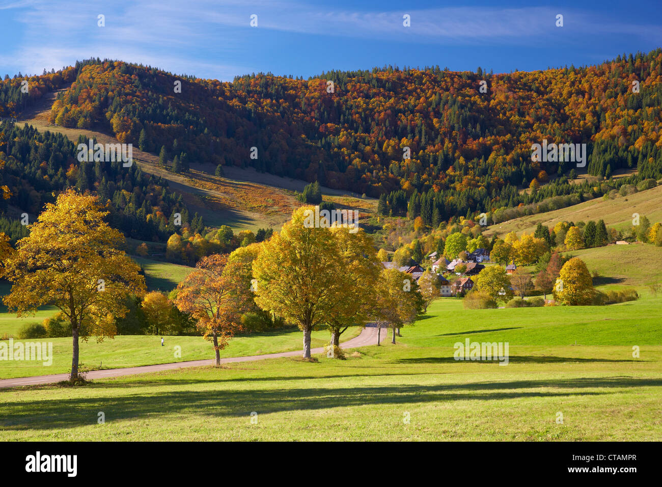 Bernau Hof in Autumn, Southern part of Black Forest, Black Forest, Baden-Wuerttemberg, Germany, Europe Stock Photo