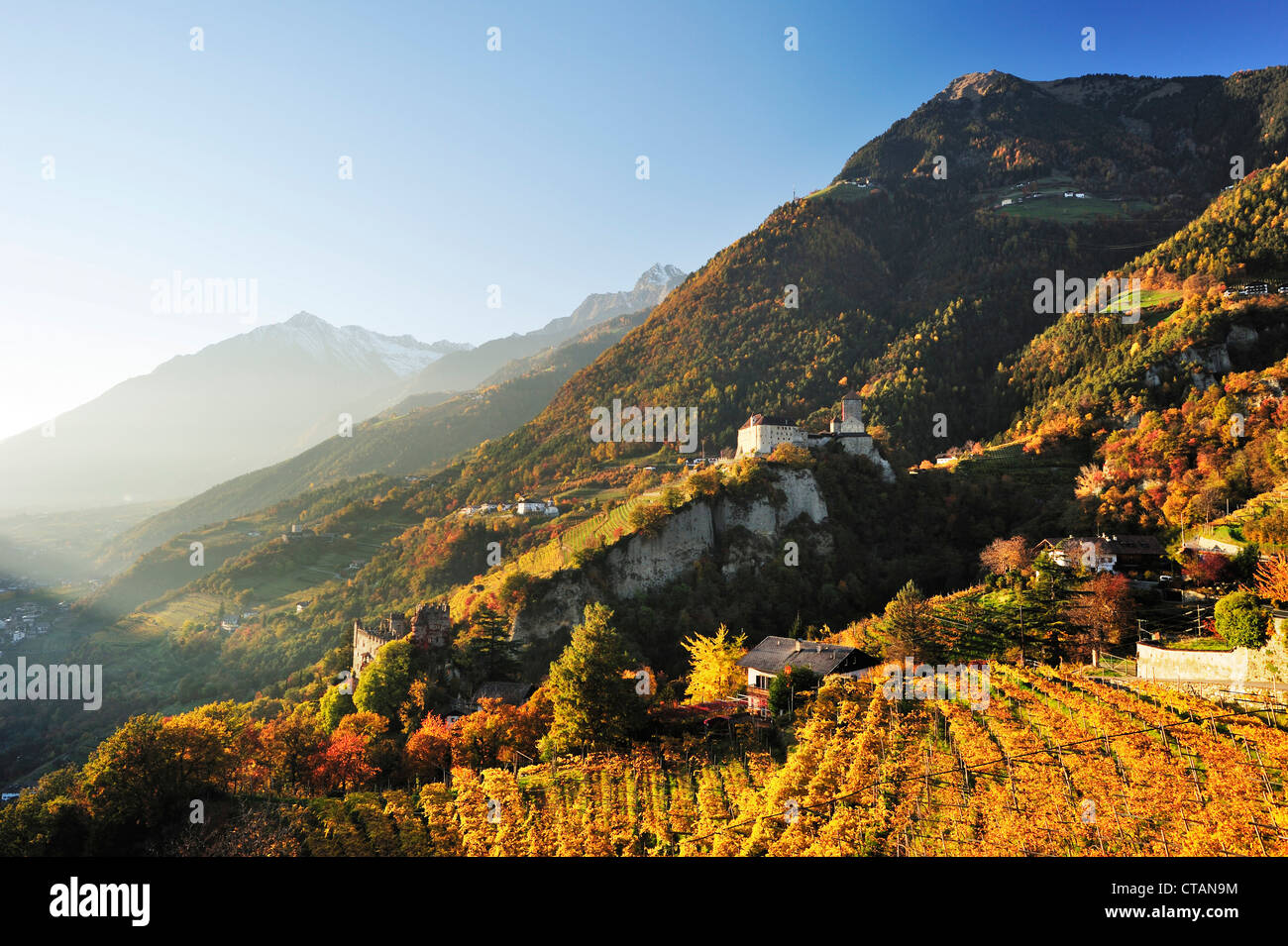 Castle Schloss Tirol with vineyards in autumn colours and Texel range in background, Schloss Tirol, Meran, South Tyrol, Italy, E Stock Photo