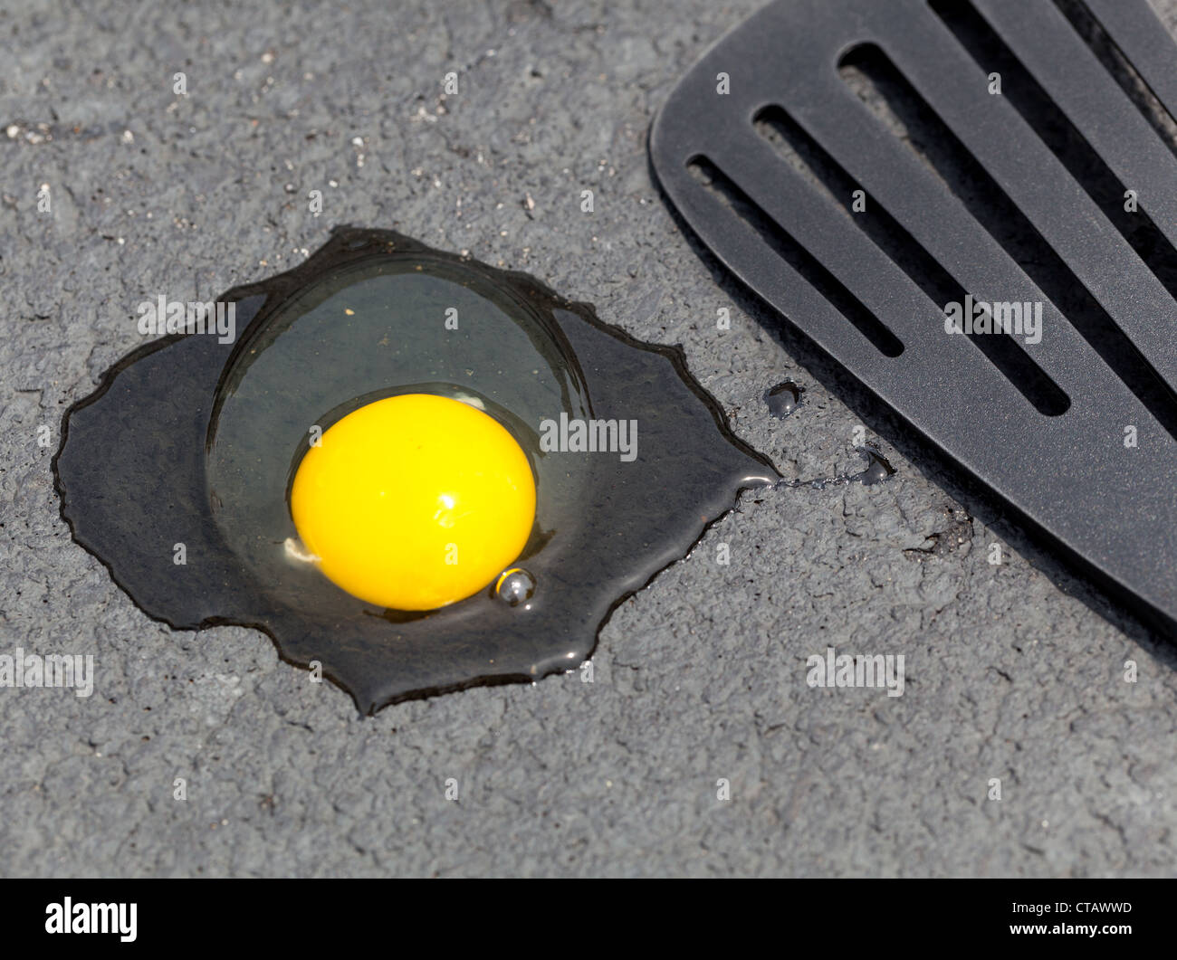 Breaking egg onto hot road surface to see if it fries in summer Stock Photo