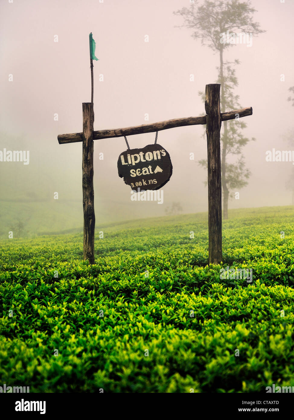 Sign points way to Sir Lipton's Seat at a tea estate, Haputale, Hill Country Sri Lanka Stock Photo