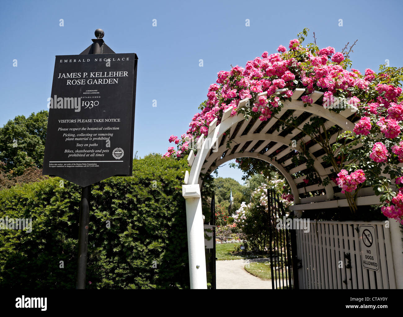 The James P. Kelleher Rose Garden is part of Boston's Emerald Necklace of parks Stock Photo Alamy