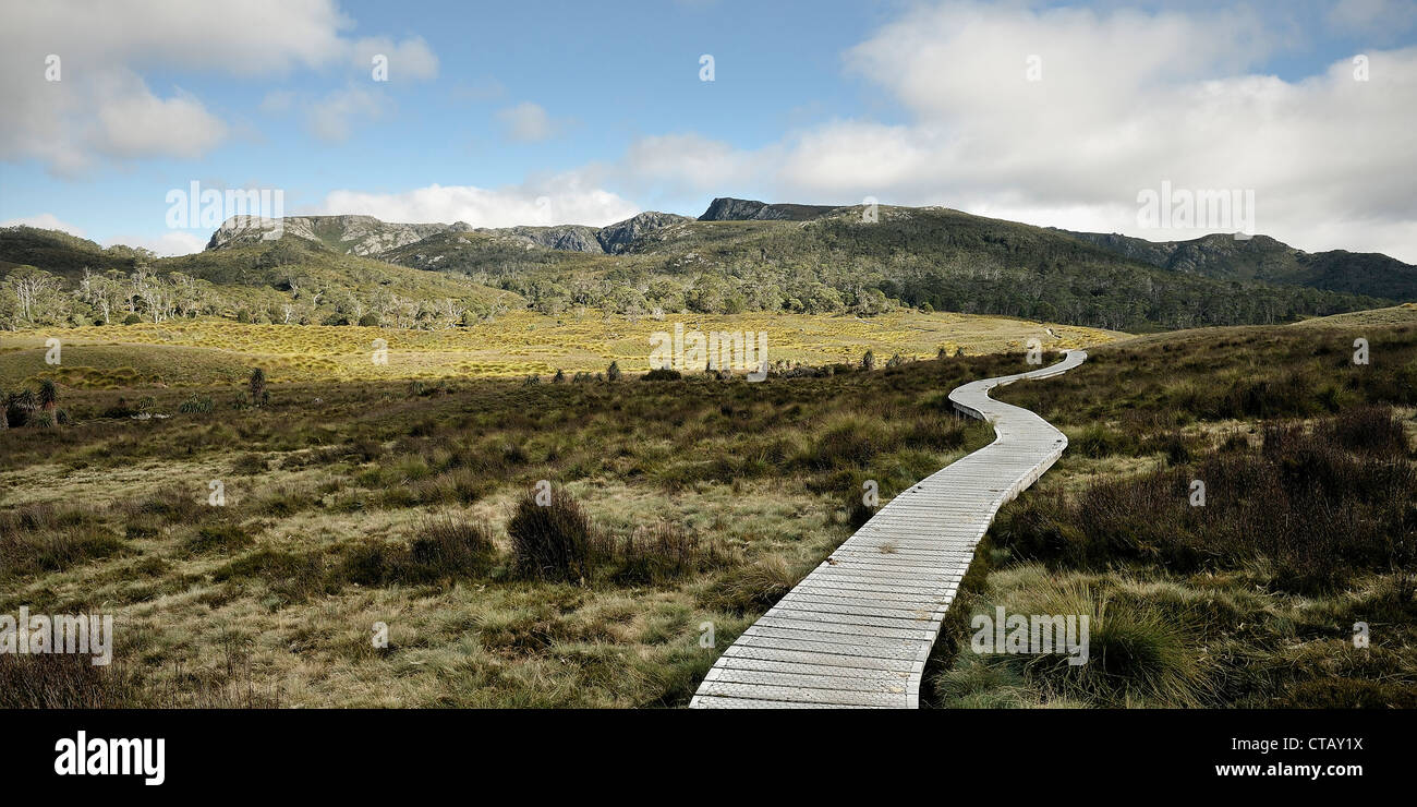 Hike trail across Tasmanias wilderness, mountains, start of the Overland Track, Cradle Mountain Lake St Clair National Park, Tas Stock Photo