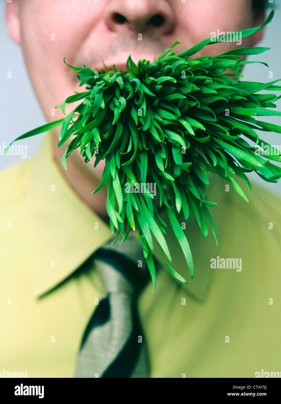 A portrait of a man with grass in his mouth Stock Photo Alamy