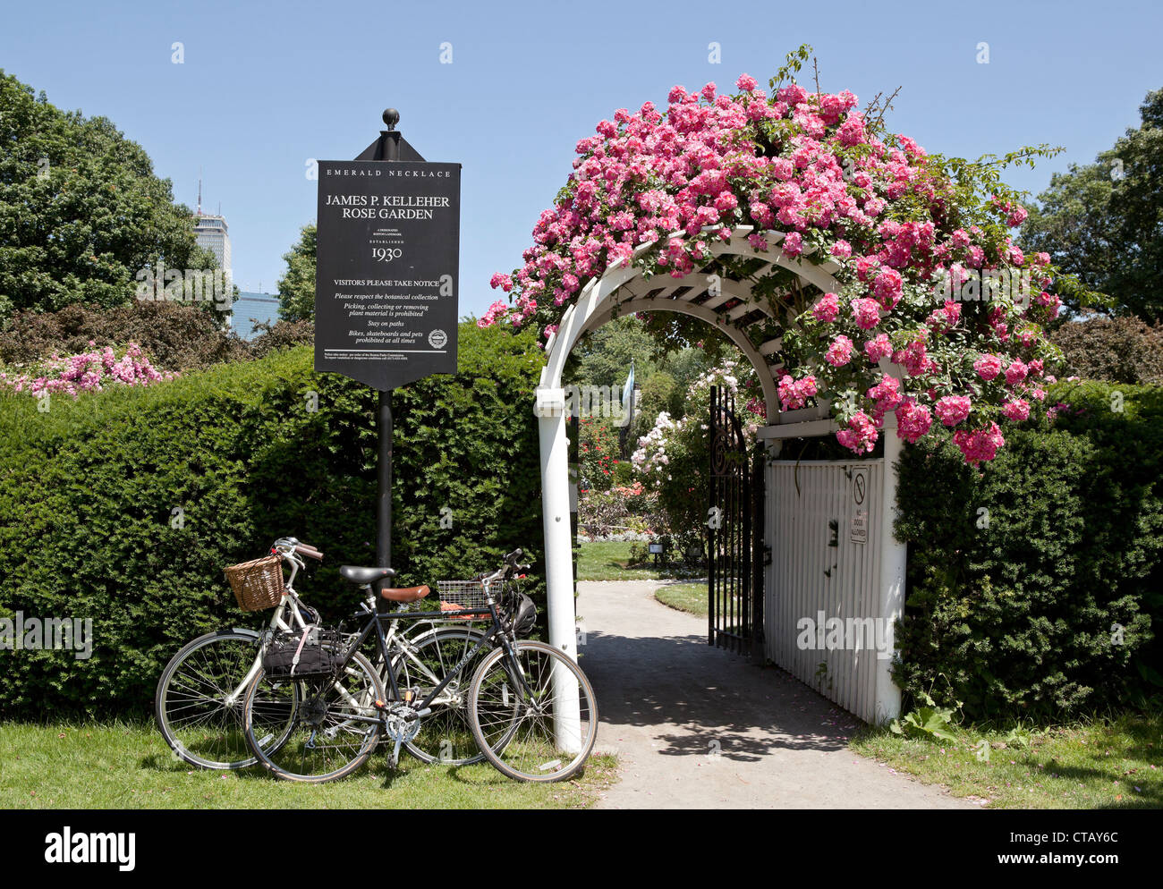 The James P. Kelleher Rose Garden is part of Boston's Emerald Necklace