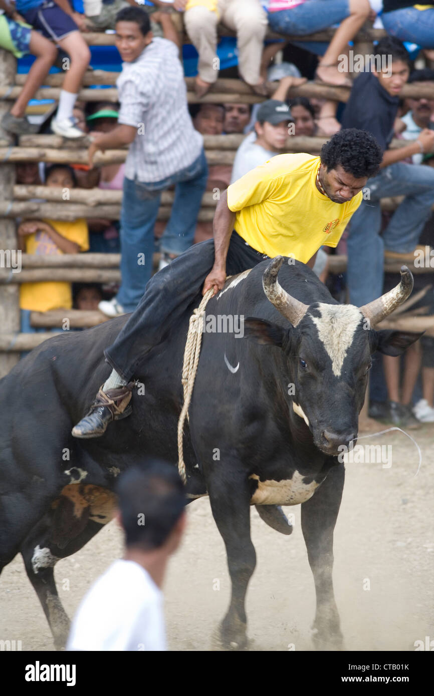 Bull riding in Santa Cruz Guanacaste Costa Rica as part of