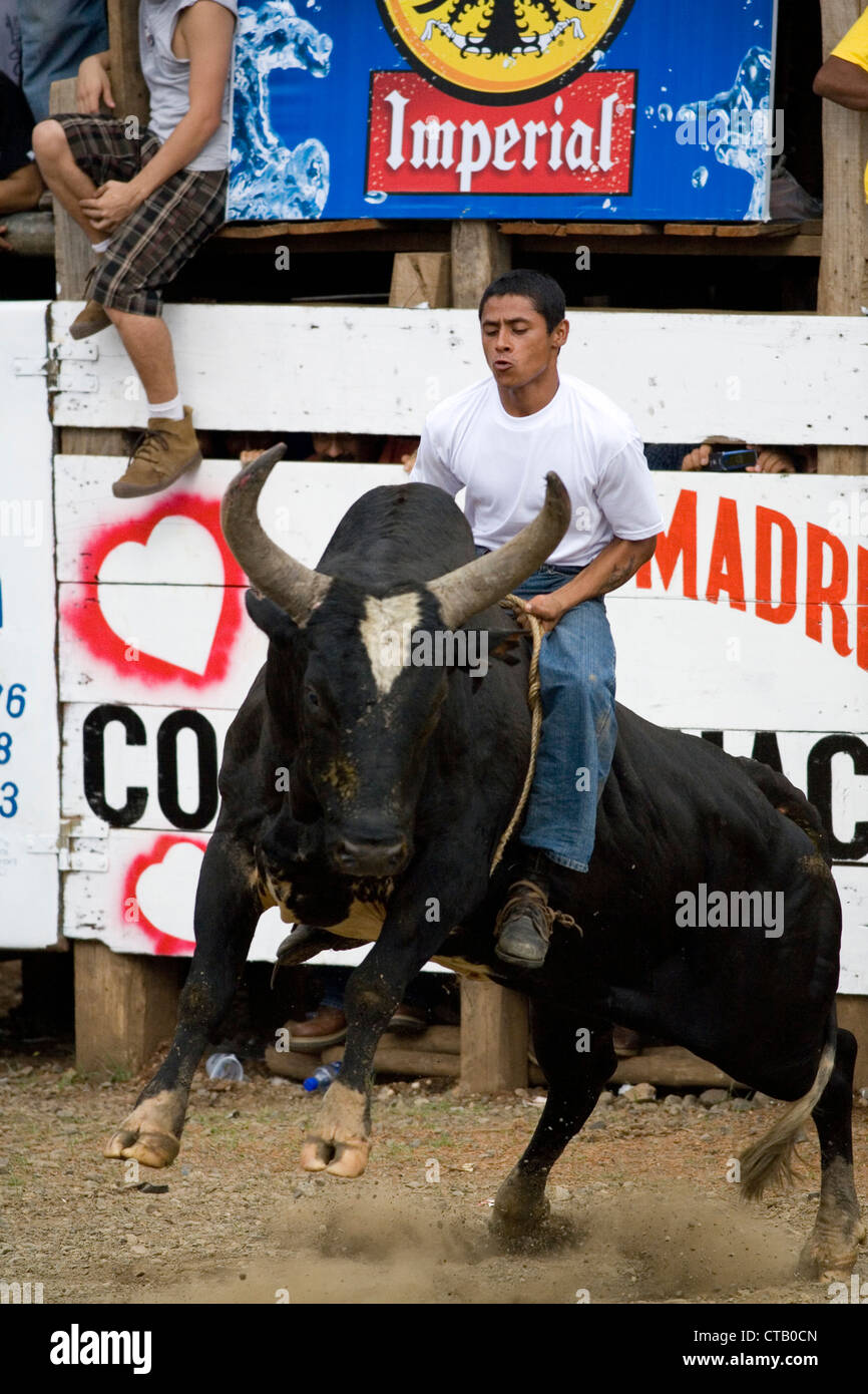 Costa Rica Rodeo Bull rodeo santa cruz hi-res stock photography and images - Alamy