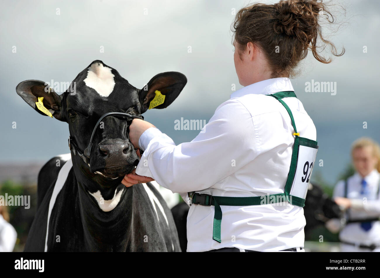 Showing dairy cattle in the Young Handlers section of an agricultural