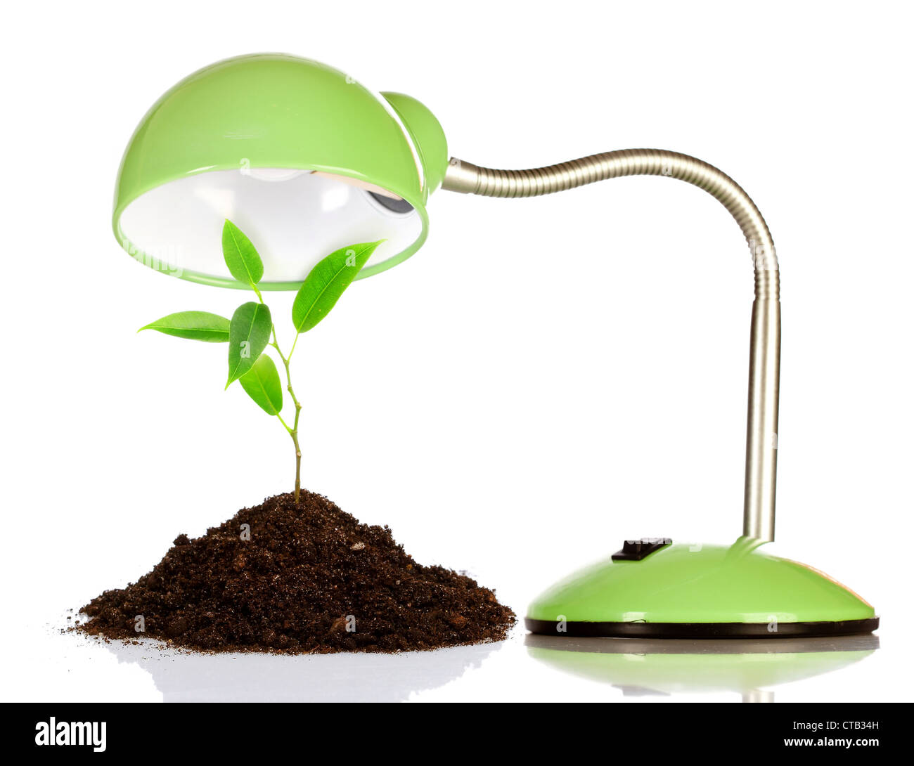 Young sprout and table lamp on a white background ... Stock Photo