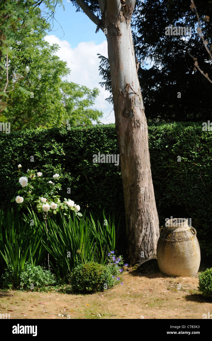 An urn in an English garden during a drought UK Stock Photo