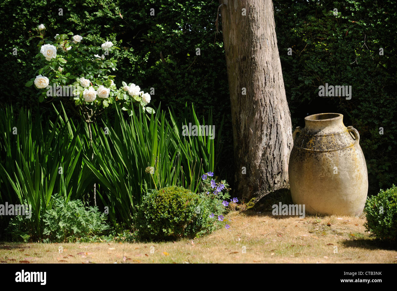 An urn in an English garden during a drought UK Stock Photo