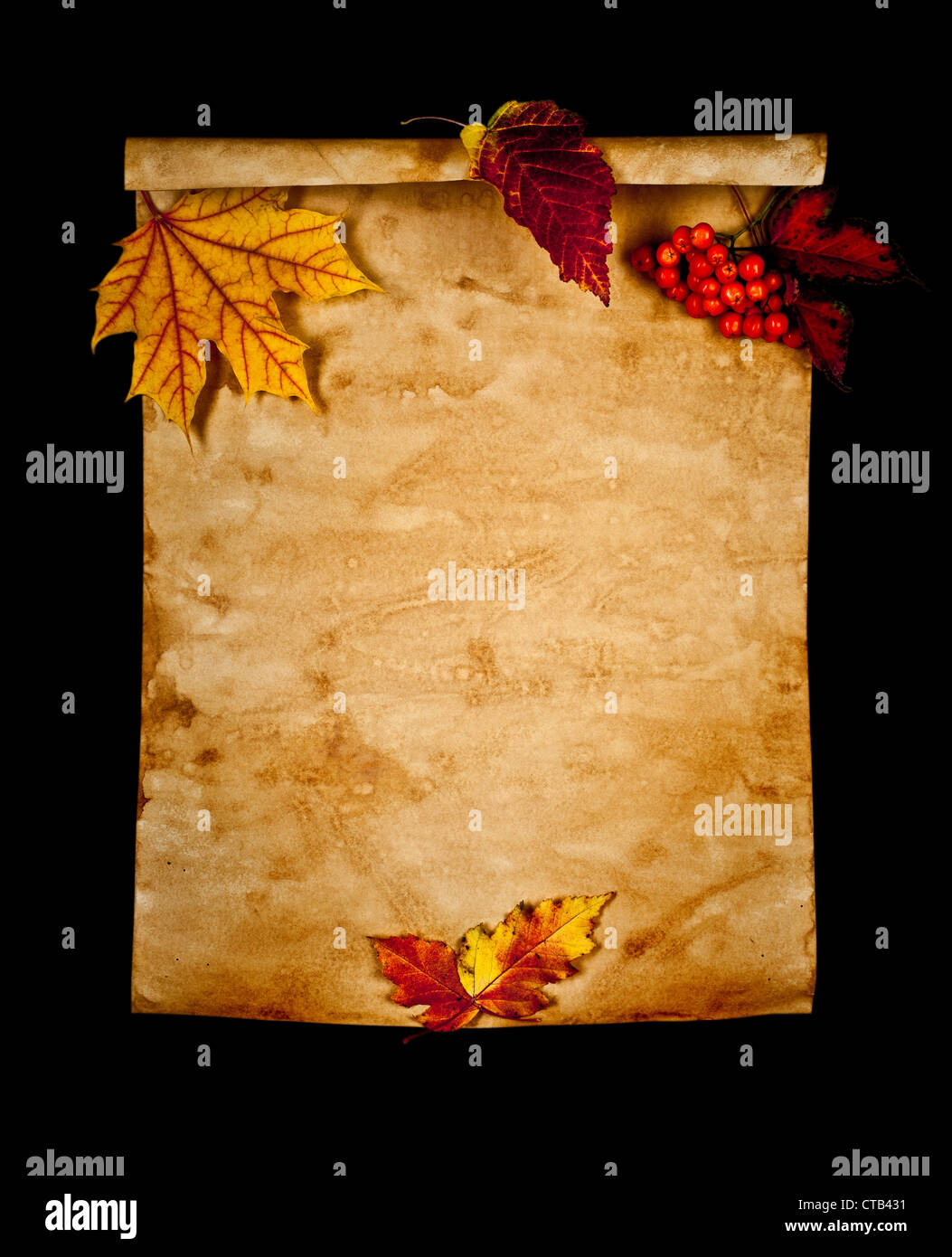 Old paper with autumn leaves on black background isolated Stock Photo ...