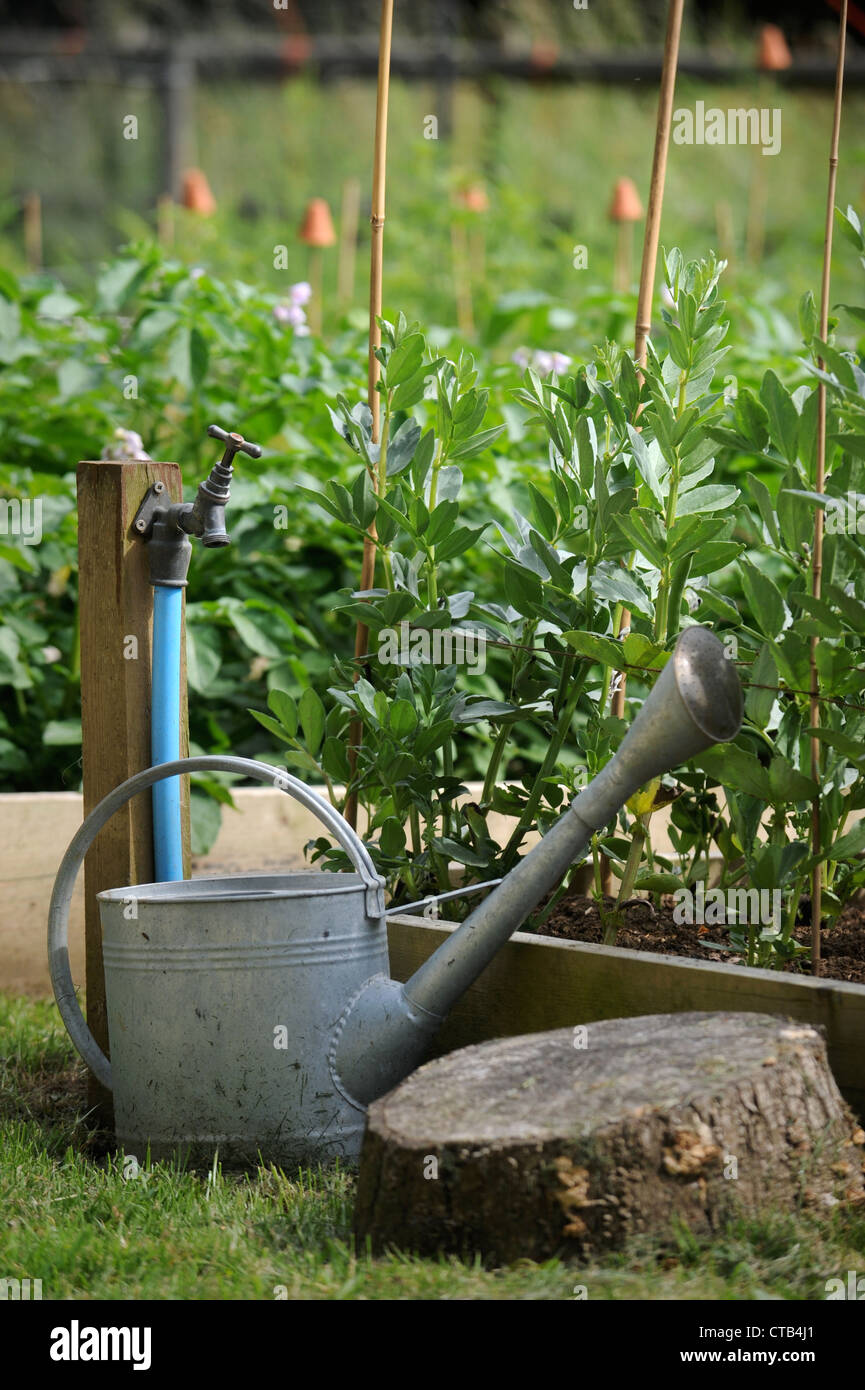 A watering can and garden tap alongside raised vegetable beds UK Stock