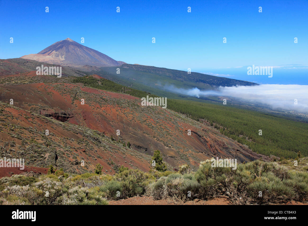 Spain, Canary Islands, Tenerife, Pico del Teide, volcano, Stock Photo