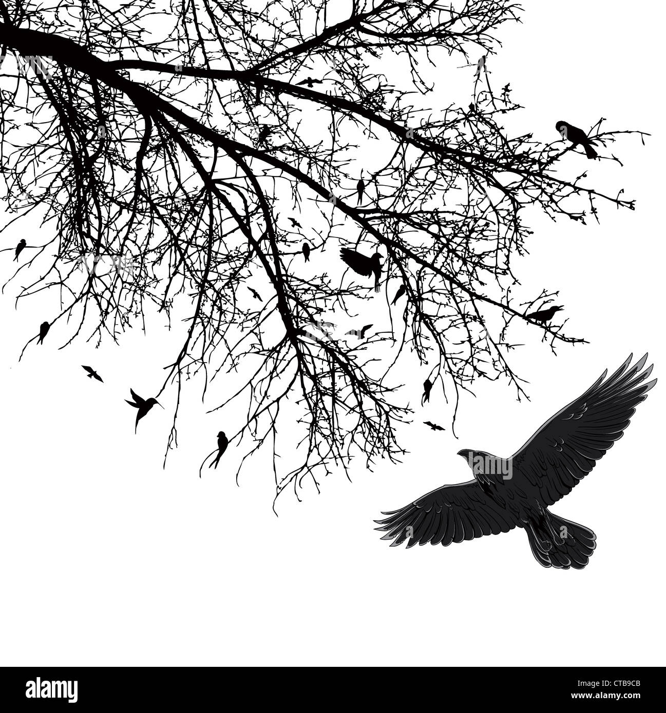 vintage background with birds vector illustration Stock Photo - Alamy