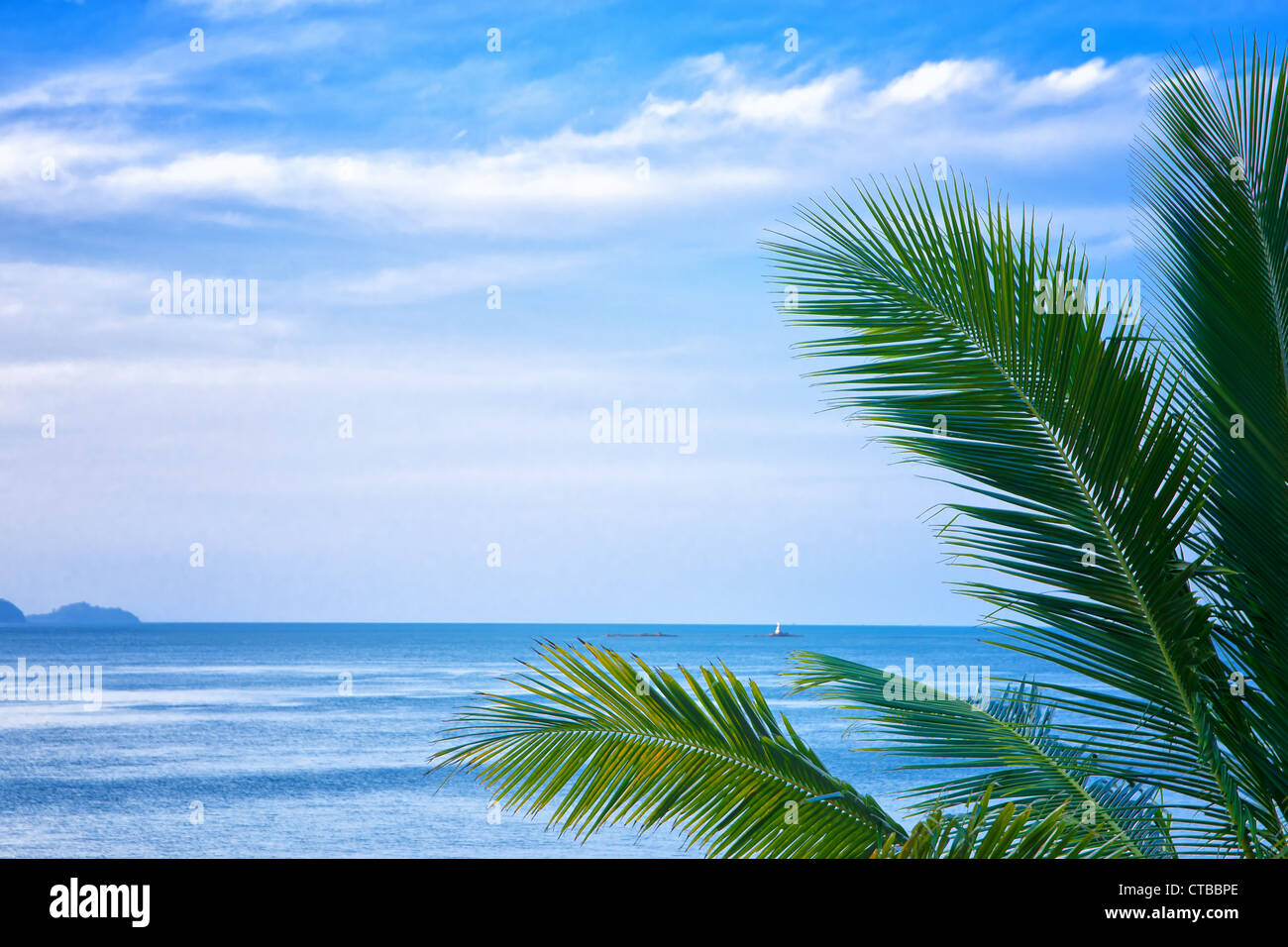 Palm tree blue sea hi-res stock photography and images - Alamy