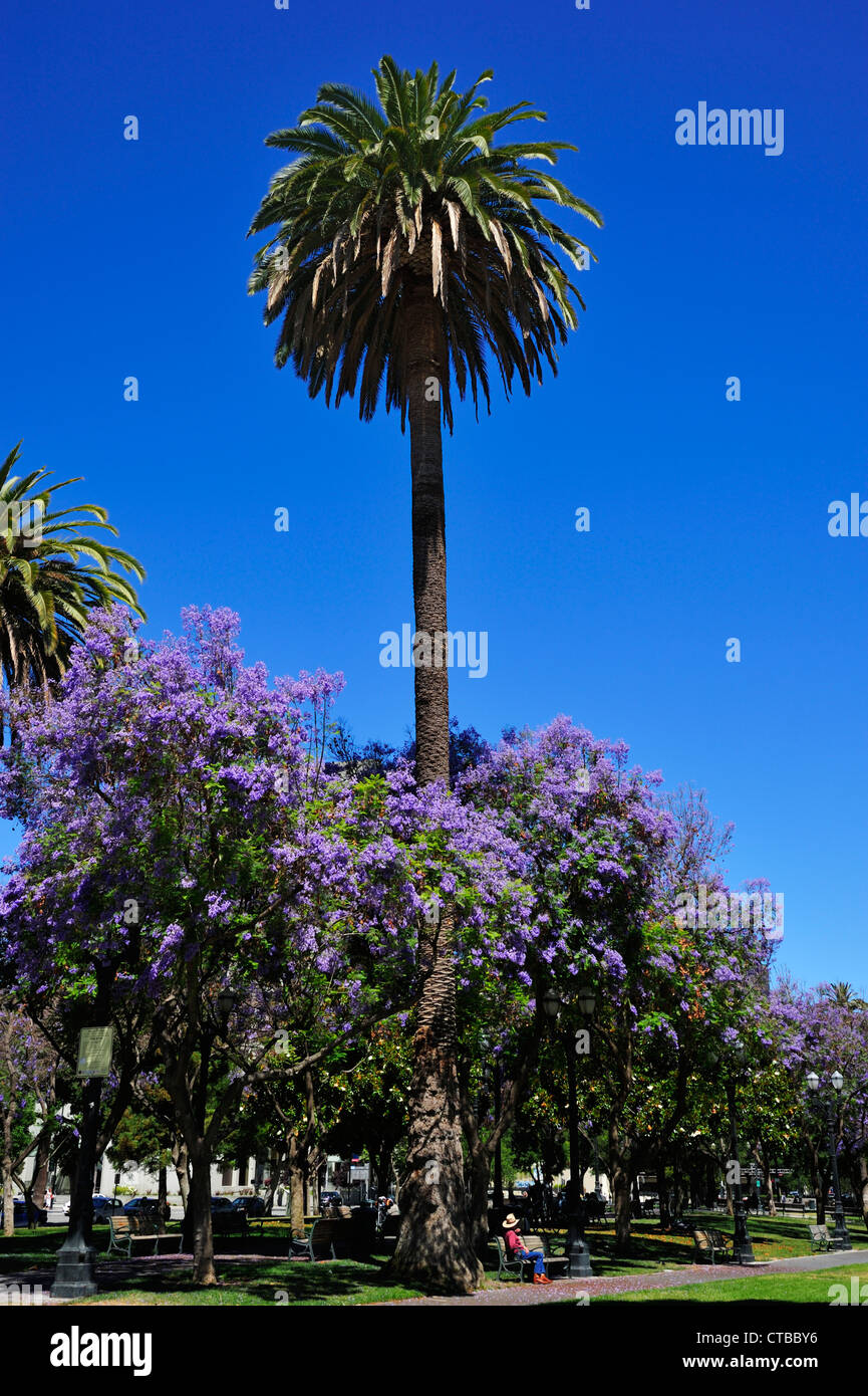 Plaza de Cesar Chavez, San Jose CA Stock Photo Alamy