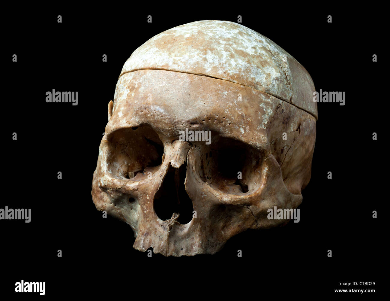 human skull isolated on black background Stock Photo