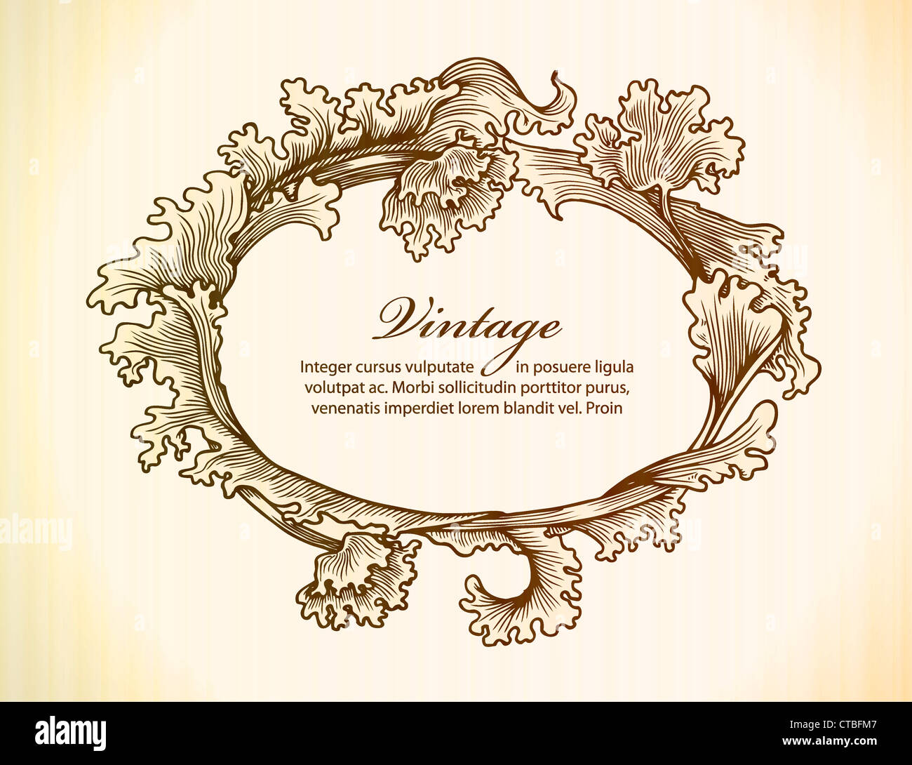 vintage floral frame vector illustration Stock Photo - Alamy