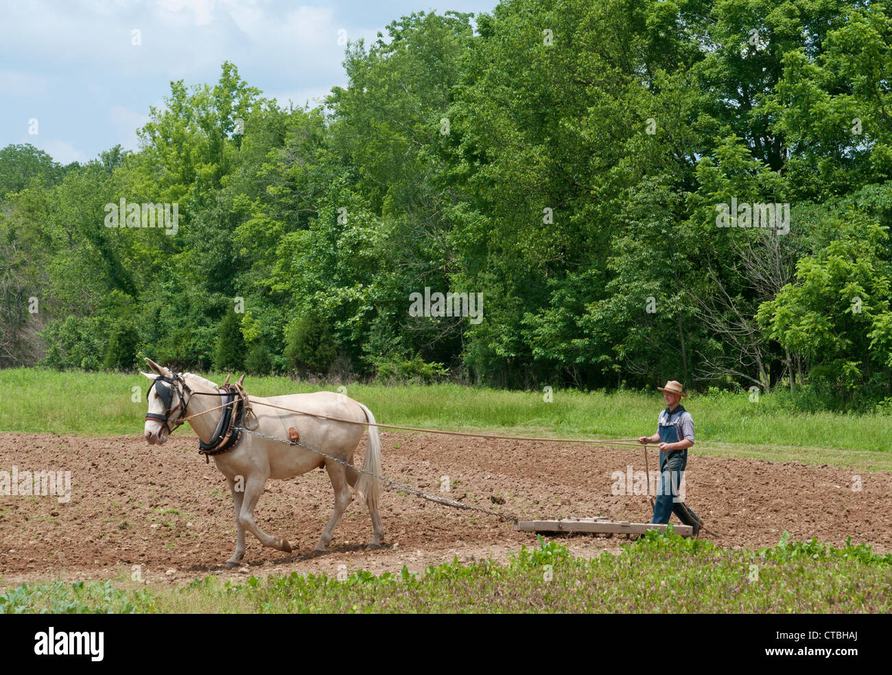 Kentucky, Land Between the Lakes, The Homeplace, living history mid