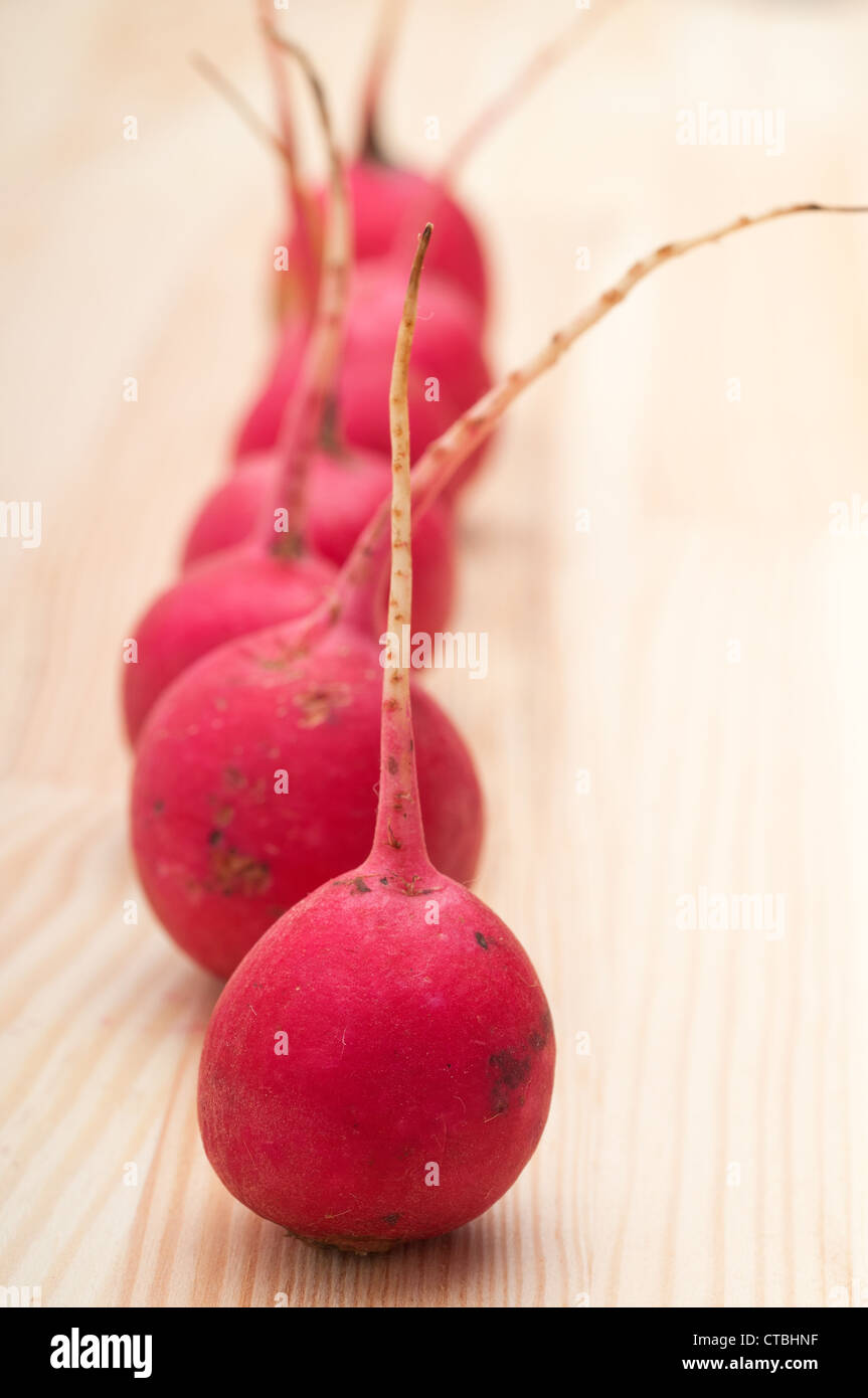 fresh red raw raddish over pine wood table closeup Stock Photo - Alamy