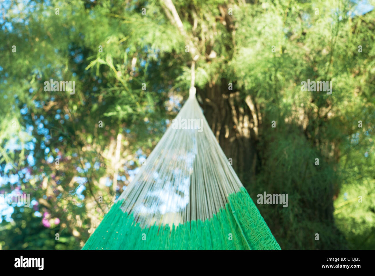 Mexican green hammock under a tree Stock Photo