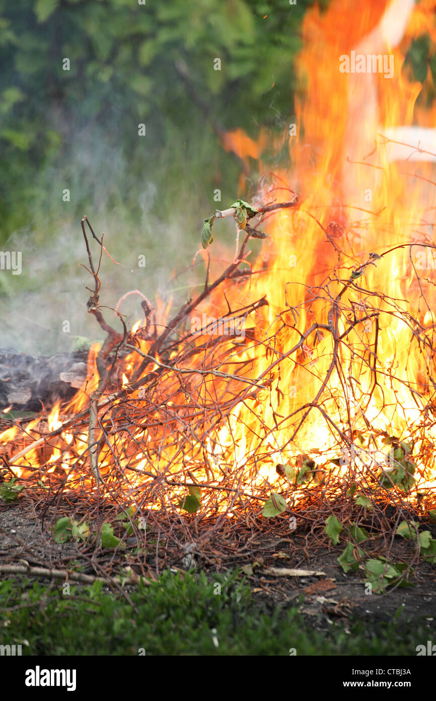 bonfire, campfire in the summer forest Stock Photo - Alamy