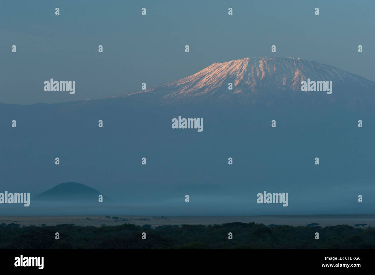 Dawn light on Kilimanjaro Stock Photo