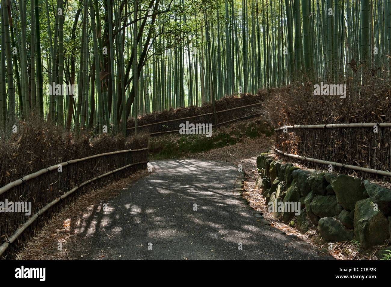 Bamboo Forest (Kyoto, Japan) - Wikipedia