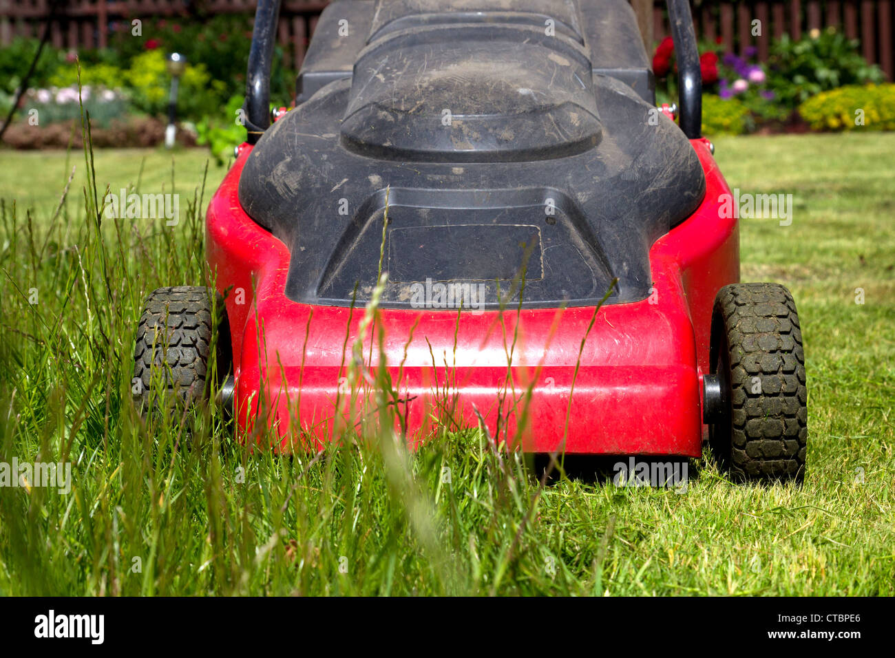 Lawnmower in a home flower garden Stock Photo