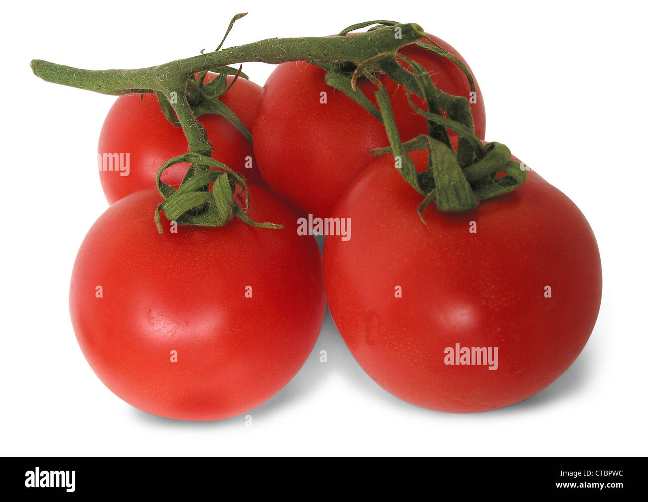 Juicy red tomatoes hi-res stock photography and images - Alamy