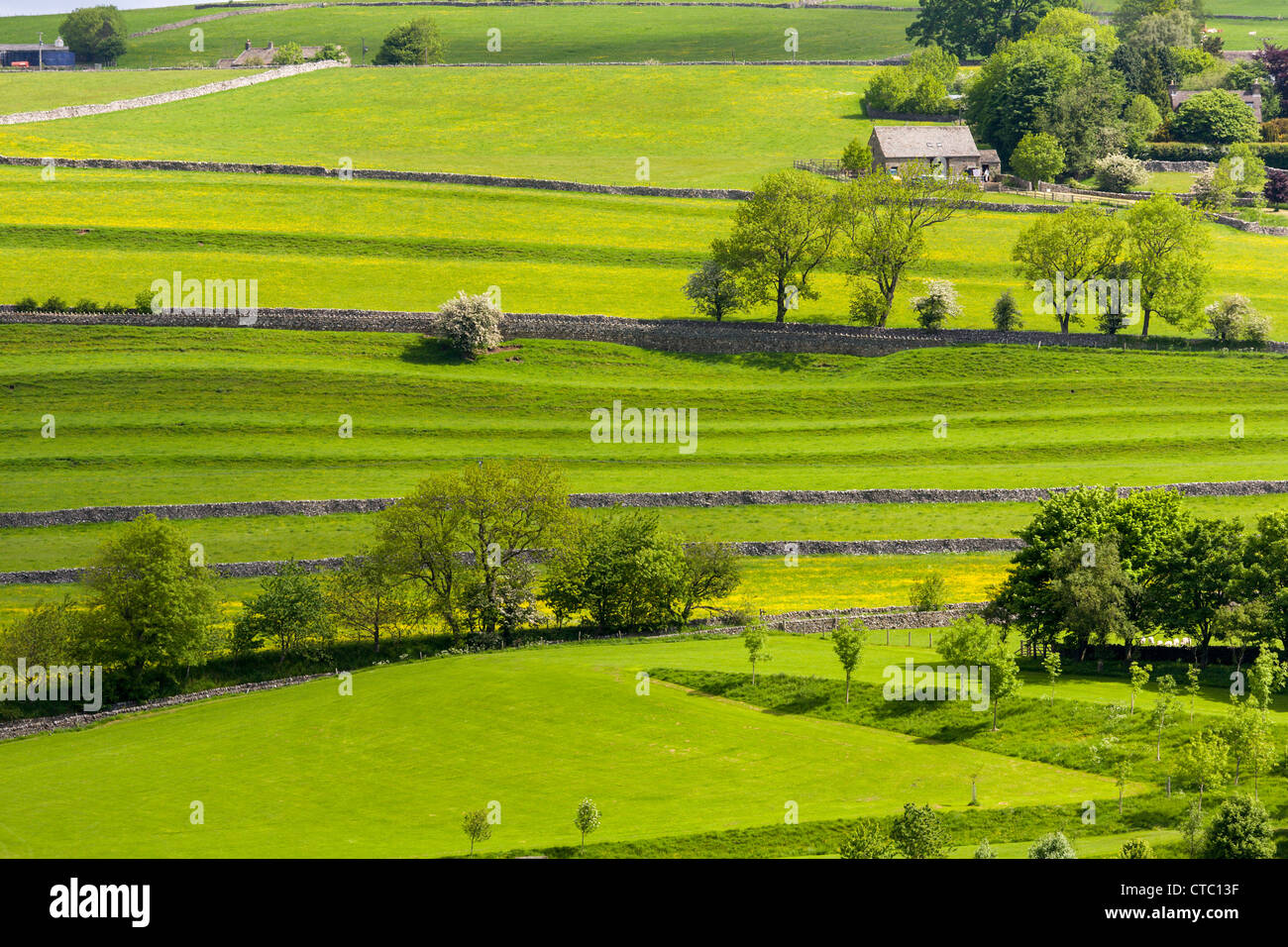 Pastureland, Burnsall, Yorkshire Dales Stock Photo