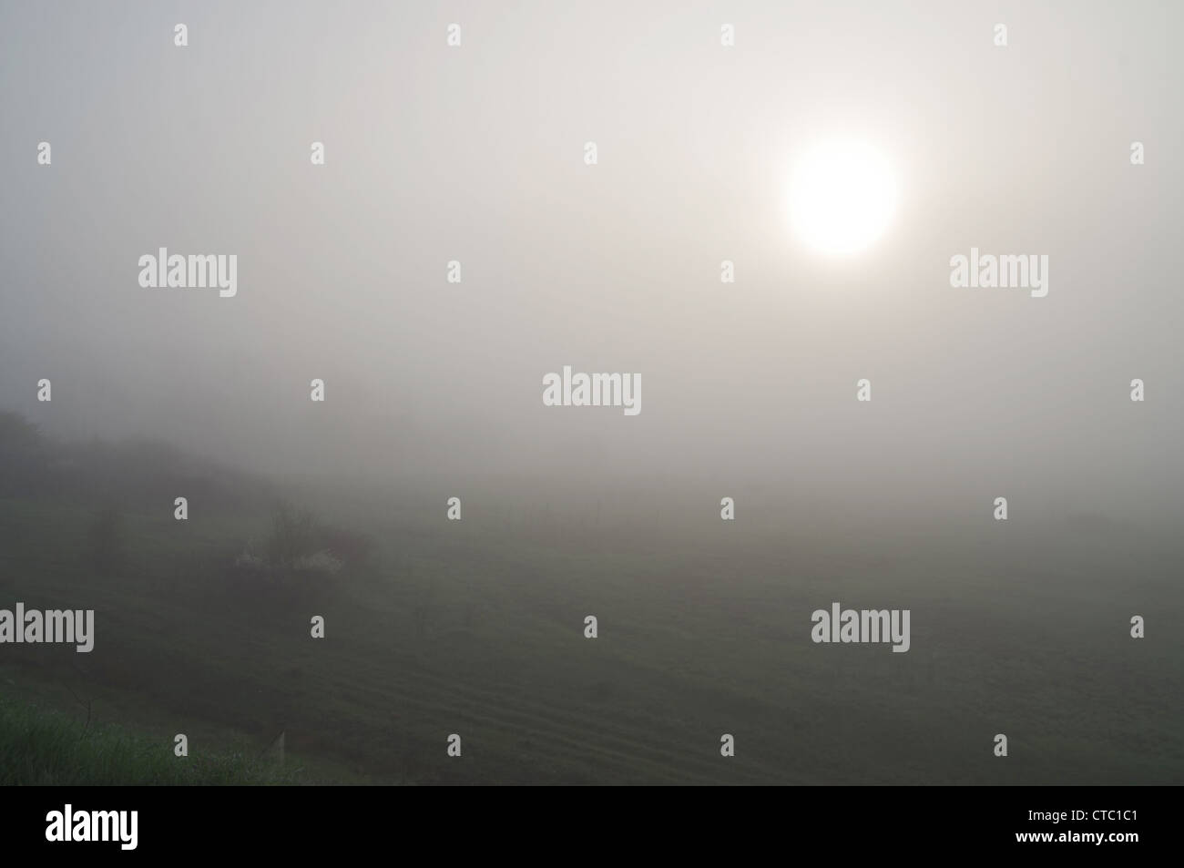 The sun pierced the mist on the lake shore Stock Photo