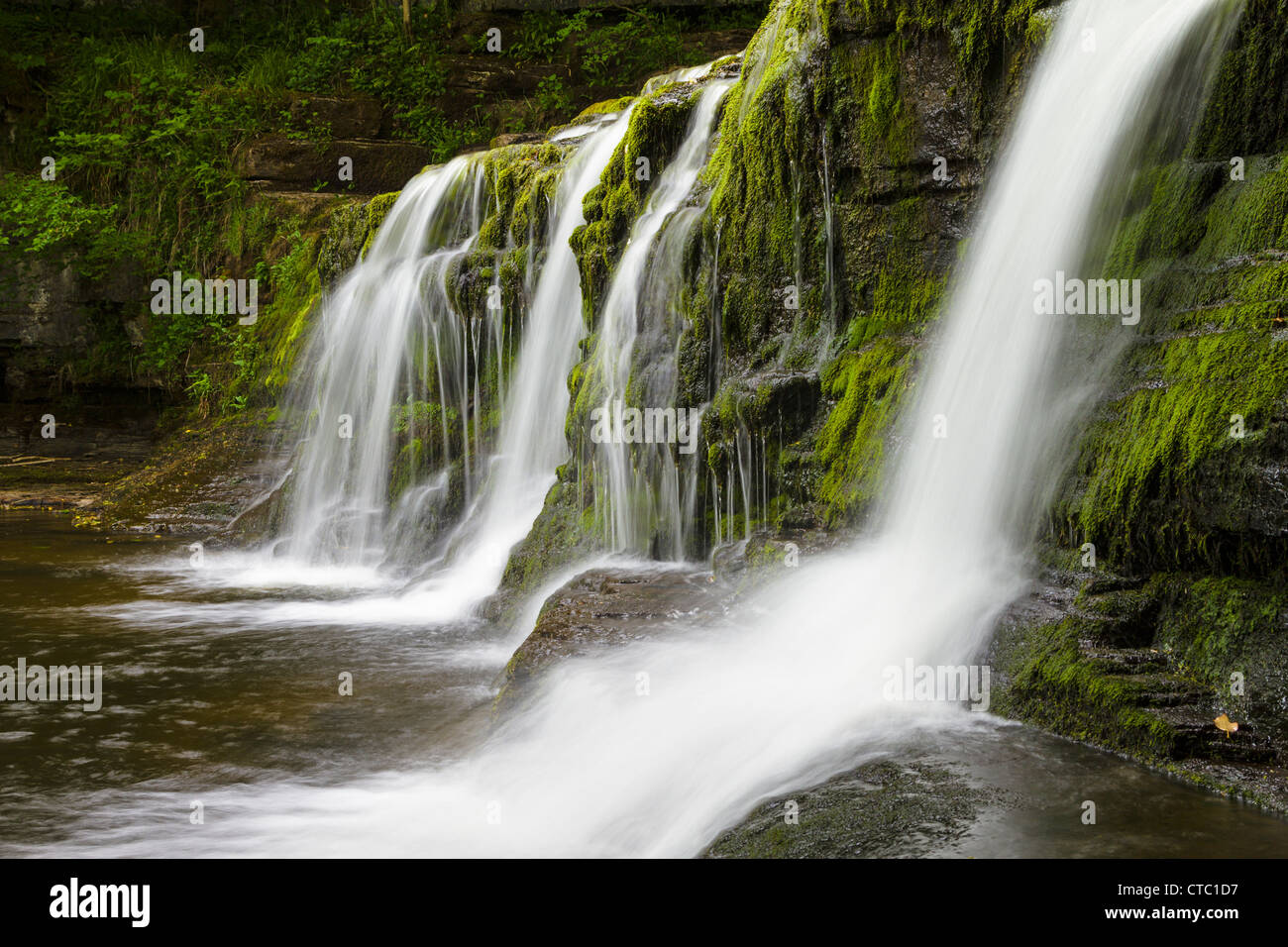 Waterfall, Wensleydale, Yorkshire Dales, England Stock Photo