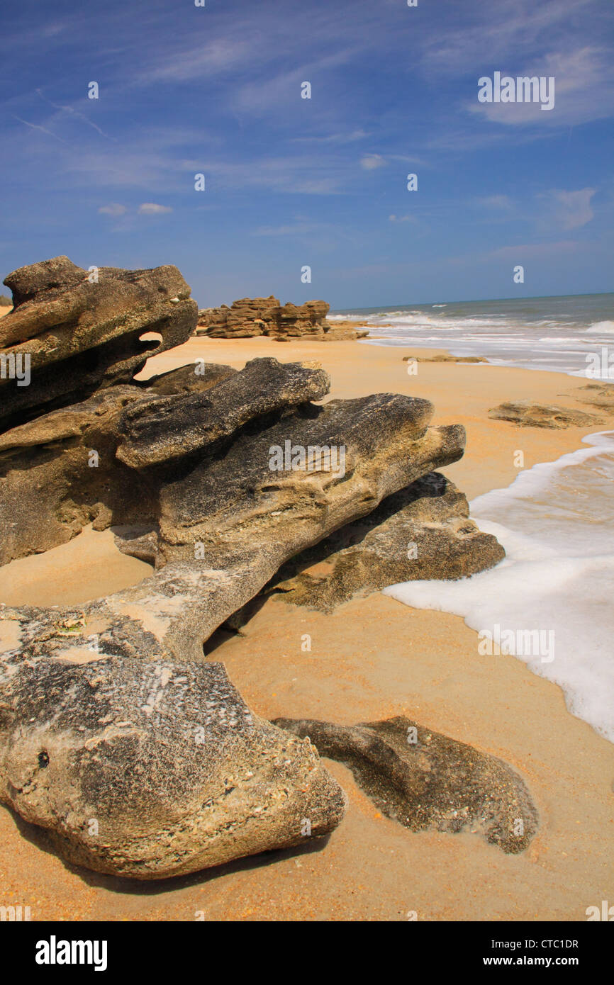 COQUINA ROCKS, WASHINGTON OAKS GARDENS STATE PARK, PALM COAST, FLORIDA