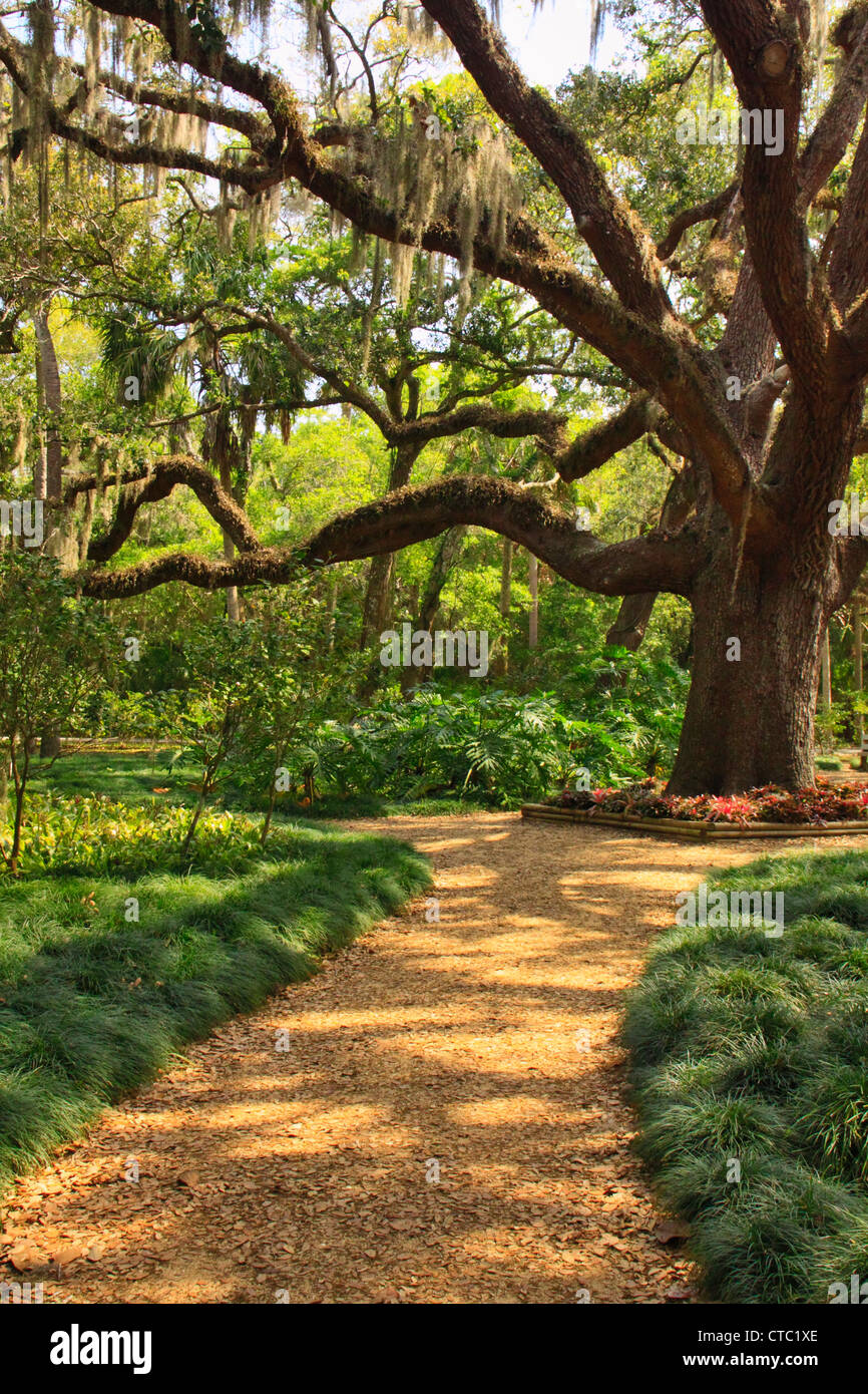 FORMAL GARDENS, WASHINGTON OAKS GARDENS STATE PARK, PALM COAST, FLORIDA