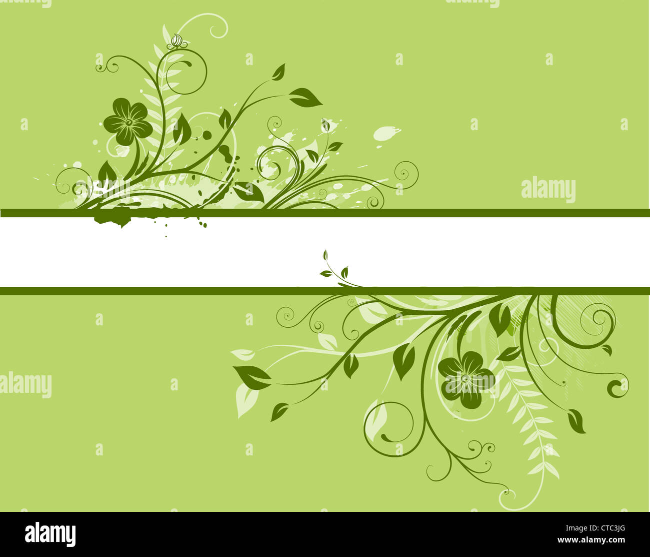 Vector illustration of green Floral Decorative banner Stock Photo - Alamy