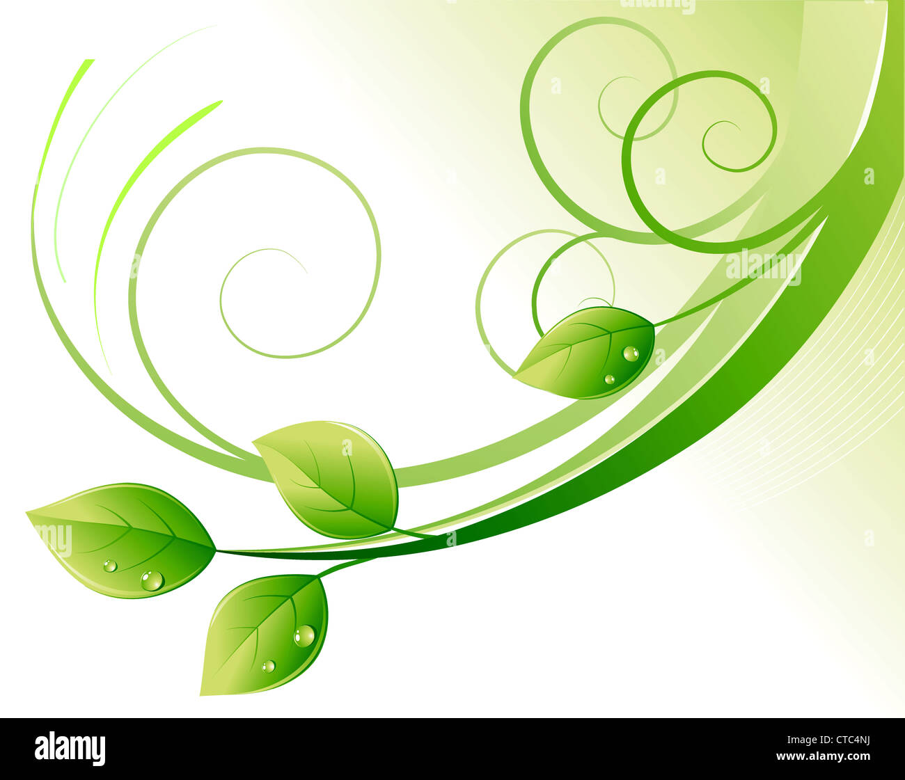 Vector illustration of green abstract background and leaves with water ...