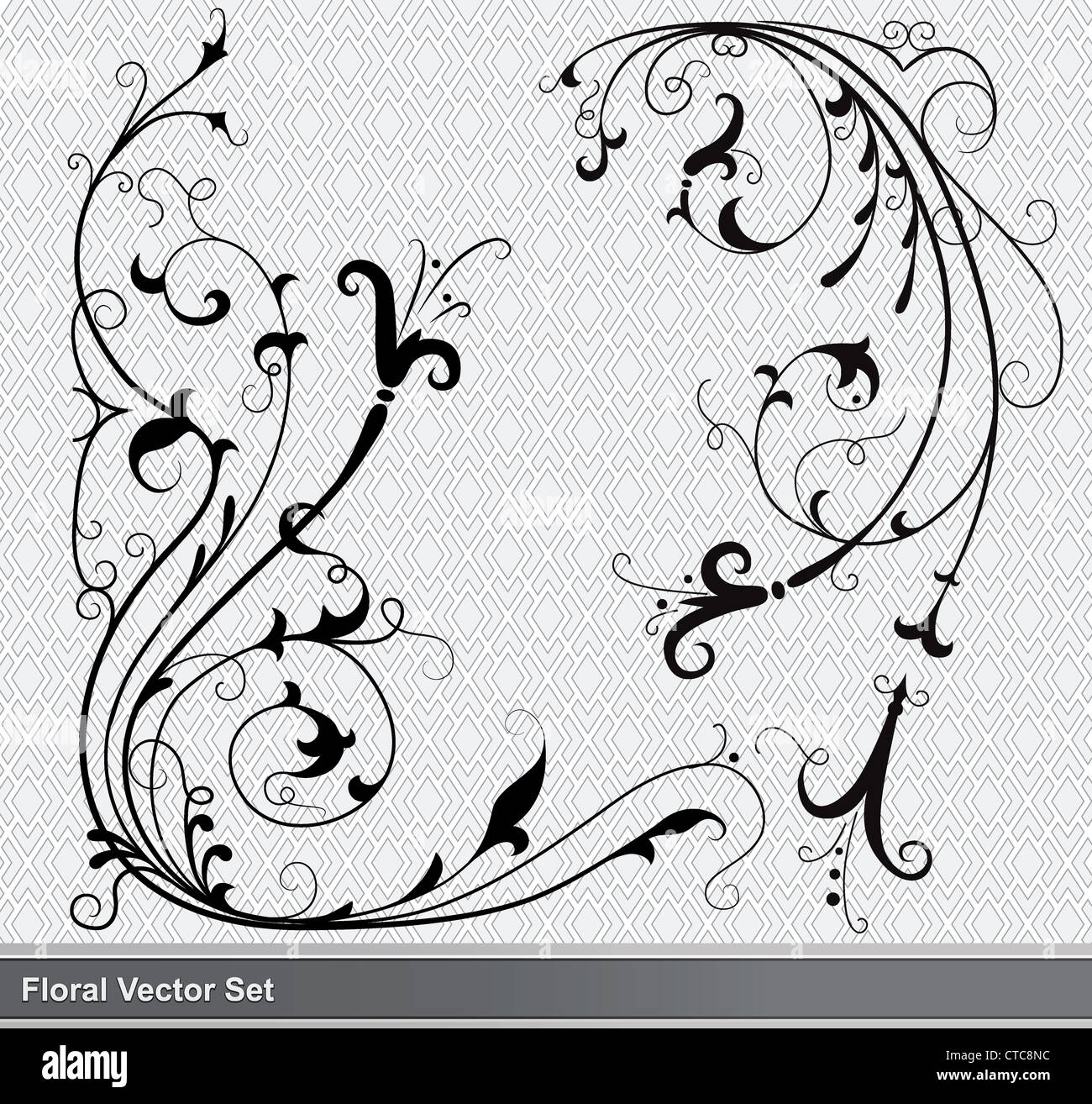 set of floral elements vector Stock Photo - Alamy