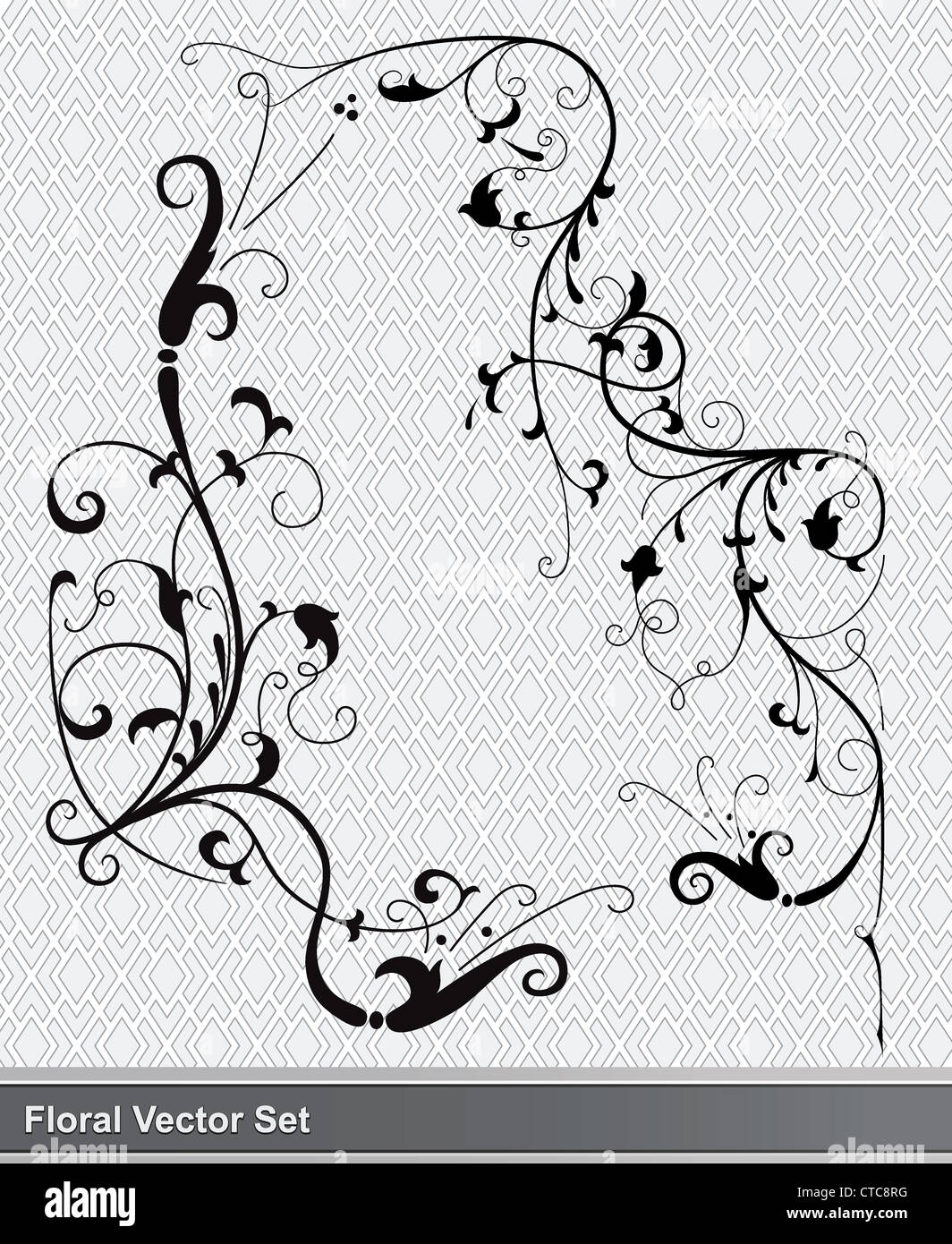 set of floral elements vector Stock Photo - Alamy